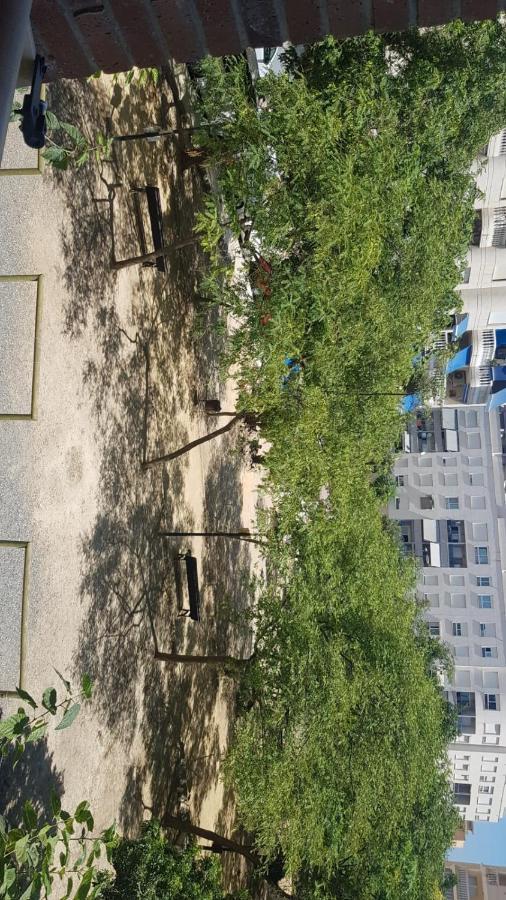 Apartamento En Campello A 250M De La Playa El Campello Εξωτερικό φωτογραφία